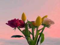 南京墨丘利家居有限公司