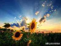 南京墨丘利家居有限公司