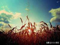 南京墨丘利家居有限公司