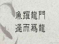 南京墨丘利家居有限公司