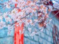 南京墨丘利家居有限公司