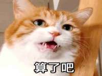 南京墨丘利家居有限公司