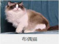南京墨丘利家居有限公司