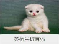 南京墨丘利家居有限公司