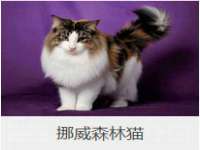 南京墨丘利家居有限公司