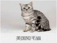 南京墨丘利家居有限公司