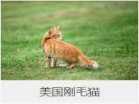 南京墨丘利家居有限公司