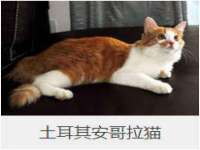 南京墨丘利家居有限公司