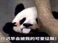 南京墨丘利家居有限公司