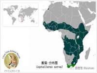 南京墨丘利家居有限公司