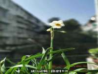 南京墨丘利家居有限公司