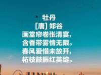 南京墨丘利家居有限公司
