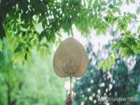 南京墨丘利家居有限公司