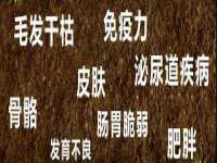 南京墨丘利家居有限公司