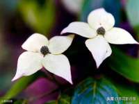 南京墨丘利家居有限公司