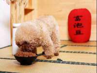 南京墨丘利家居有限公司