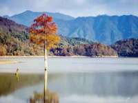 南京墨丘利家居有限公司