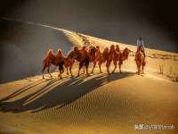 南京墨丘利家居有限公司