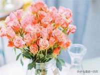 南京墨丘利家居有限公司