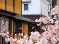 南京墨丘利家居有限公司
